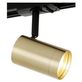 Satin Brass GU10 Track light spot